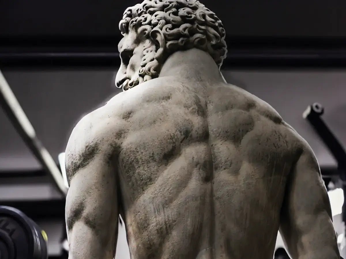 Sporten en de invloed op baardgroei: Een complete gids over gezondheid en welzijn - Finez